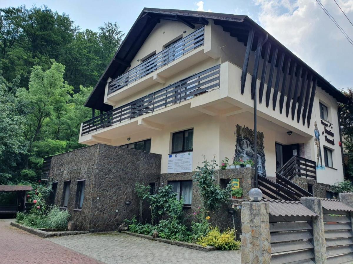 Pensiunea Iasmina Si Pescarul Calimanesti Exterior photo